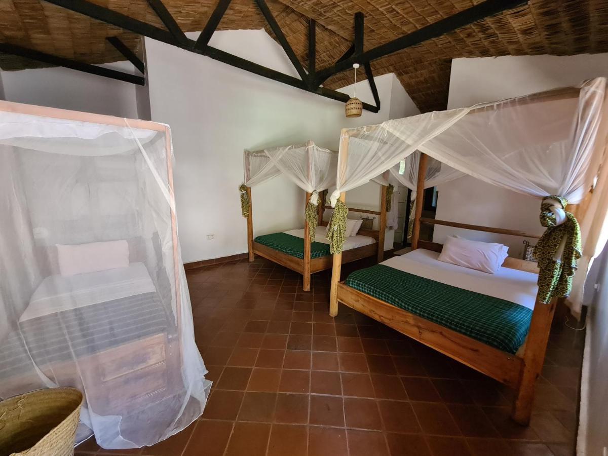 Honey Badger Lodge Moshi Kültér fotó